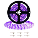 3528 SMD UV Purple Light Strip Epoxy LED Lamp Decorative Light Strip, Style:Waterproof 5m(AU Plug)