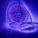 3528 SMD UV Purple Light Strip Epoxy LED Lamp Decorative Light Strip, Style:Waterproof 5m(AU Plug)