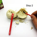 Archaeological Mining Dinosaur Fossil Archaeological Toy Dinosaur Skeleton Model