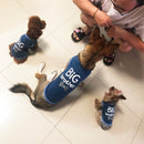 2 PCS Pet Cothing Dog Cat Spring and Summer Thin Cute Vest, Size:M(Light Grey)