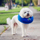 Inflatable Pet Collar Pet Grooming Warm Protective Wound Protection Collar, Size:L (CQLQ02 )
