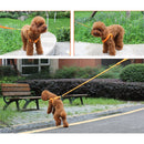 Double Sided LED Light Pet Harness Nylon Cat Dog Chest Strap Leash, Size:S(Pink)