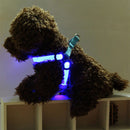 Double Sided LED Light Pet Harness Nylon Cat Dog Chest Strap Leash, Size:XL(Red)