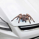 2 PCS Creative Personality Scratch Cover Car Body Sticker(Black Spider)