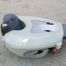 Pigeon Holder Does Not Hurt the Pigeon Body and Helps to Feed Medicine Pigeon Supplies