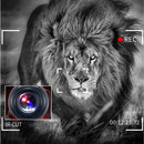 4K HD Night Vision 48MP Home WiFi Live Camcorder DV Digital Camera, Style:Microphone