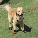 4 in 1 Autumn Winter Pet Dog Foot Cover Waterproof Shoes, Size:6.2x4.5cm(Black)
