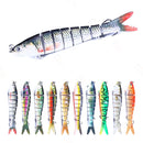 Luya Knotty Fish Plastic Bionic Hard Bait Sea Fishing Fake Bait, Colour: 5 PCS