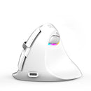 DELUX M618Mini Colorful Wireless Luminous Vertical Mouse Bluetooth Rechargeable Vertical Mouse(Color white)