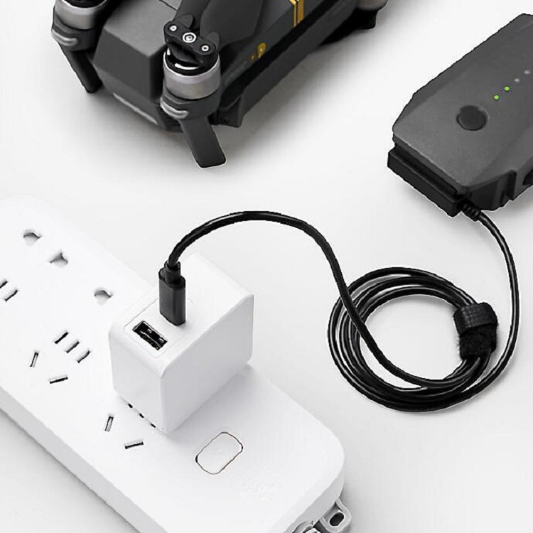 TELESIN TE-A65AC-BK 65W PD USB-C / Type-C + USB Interface GAN AC Drone Mini Adapter Charger, US Plug(Black)