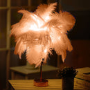 Ostrich Feather Table Lamp Wrought Iron Night Light LED Copper Wire Lamp(Orange)