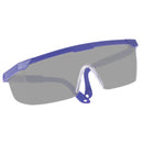 10 PCS Outdoor Safety Glasses Spectacles Eye Protection Goggles Dental Work Eyewear(Blue Frame Grey Lens)