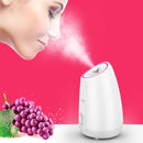 Maoer Fruit Vegetable Facial Face Steamer Household Spa Beauty Instrument Thermal Nano Spray Water Whitening Face Steamer Machine Automatic Alcohol Sprayer (Pink)
