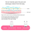 Maoer Fruit Vegetable Facial Face Steamer Household Spa Beauty Instrument Thermal Nano Spray Water Whitening Face Steamer Machine Automatic Alcohol Sprayer (Pink)