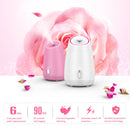 Maoer Fruit Vegetable Facial Face Steamer Household Spa Beauty Instrument Thermal Nano Spray Water Whitening Face Steamer Machine Automatic Alcohol Sprayer (Pink)