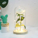 Simulation Roses Lights Glass Cover Decorations Crafts Valentines Day Gifts(White)