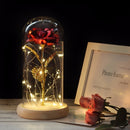Simulation Roses Lights Glass Cover Decorations Crafts Valentines Day Gifts(Multicolor)