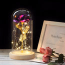 Simulation Roses Lights Glass Cover Decorations Crafts Valentines Day Gifts(Purple)