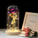 Simulation Roses Lights Glass Cover Decorations Crafts Valentines Day Gifts(Purple)