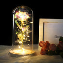 Simulation Roses Lights Glass Cover Decorations Crafts Valentines Day Gifts(Purple)