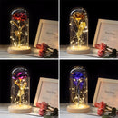 Simulation Roses Lights Glass Cover Decorations Crafts Valentines Day Gifts(Red)