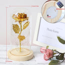 Simulation Roses Lights Glass Cover Decorations Crafts Valentines Day Gifts(Red)