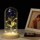 Simulation Roses Lights Glass Cover Decorations Crafts Valentines Day Gifts(Gold Foil Rose Blue)
