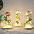 Simulation Roses Lights Glass Cover Decorations Crafts Valentines Day Gifts(Gold Foil Rose Blue)