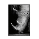 Simple Black and White Animal Decoration Painting Study Living Room Sofa Background Wall Painting Without Frame, Size:30X40cm(Rhinoceros)