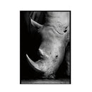 Simple Black and White Animal Decoration Painting Study Living Room Sofa Background Wall Painting Without Frame, Size:30X40cm(Rhinoceros)
