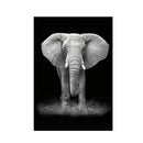 Simple Black and White Animal Decoration Painting Study Living Room Sofa Background Wall Painting Without Frame, Size:40X60cm(Elephant)