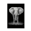 Simple Black and White Animal Decoration Painting Study Living Room Sofa Background Wall Painting Without Frame, Size:40X60cm(Elephant)