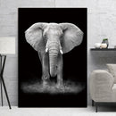 Simple Black and White Animal Decoration Painting Study Living Room Sofa Background Wall Painting Without Frame, Size:40X60cm(Elephant)