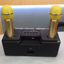SDRD SD-301 2 in 1 Family KTV Portable Wireless Live Dual Microphone + Bluetooth Speaker(Black)