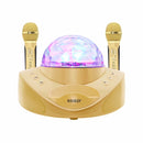 SDRD SD-308 2 in 1 Family KTV Portable Wireless Live Dual Microphone + Bluetooth Speaker(Gold)