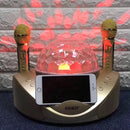 SDRD SD-308 2 in 1 Family KTV Portable Wireless Live Dual Microphone + Bluetooth Speaker(Gold)