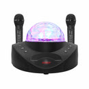 SDRD SD-308 2 in 1 Family KTV Portable Wireless Live Dual Microphone + Bluetooth Speaker(Black)