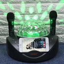 SDRD SD-308 2 in 1 Family KTV Portable Wireless Live Dual Microphone + Bluetooth Speaker(Black)