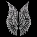 White 1 Pair Organza Wings Shape Embroidery DIY Clothing Accessories