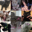 20 PCS Silicone Soft Cat Nail Caps / Cat Paw Claw / Pet Nail Protector/Cat Nail Cover, Size:S(Blue)