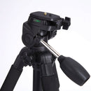 Q111 4-Section Folding Legs Live Broadcast Aluminum Alloy Tripod Mount with Three-dimensional Damping Tripod Heads(Red)