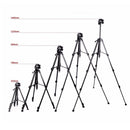 Q111 4-Section Folding Legs Live Broadcast Aluminum Alloy Tripod Mount with Three-dimensional Damping Tripod Heads(Red)