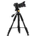 Q111 4-Section Folding Legs Live Broadcast Aluminum Alloy Tripod Mount with Three-dimensional Damping Tripod Heads(Black)