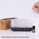 Desktop 3D Simulation Flame Incense Smoked Machine Humidifier, Colour:White(US Plug)