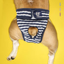 2 PCS Pet Striped Physiological Pants Dog Menstrual Pants, Size: S(Blue)