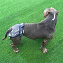 2 PCS Pet Striped Physiological Pants Dog Menstrual Pants, Size: S(Blue)