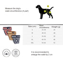 2 PCS Pet Striped Physiological Pants Dog Menstrual Pants, Size: M(Brown)