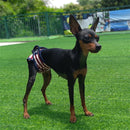 2 PCS Pet Striped Physiological Pants Dog Menstrual Pants, Size: M(Brown)