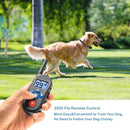 800m Remote Control Electric Shock Bark Stopper Vibration Warning Pet Supplies Electronic Waterproof Collar Dog Training Device, Style:556-3(UK Plug)