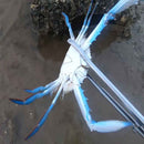 Crab Tongs Loach Tongs Sea Tool, Model: 30cm Straight Clip